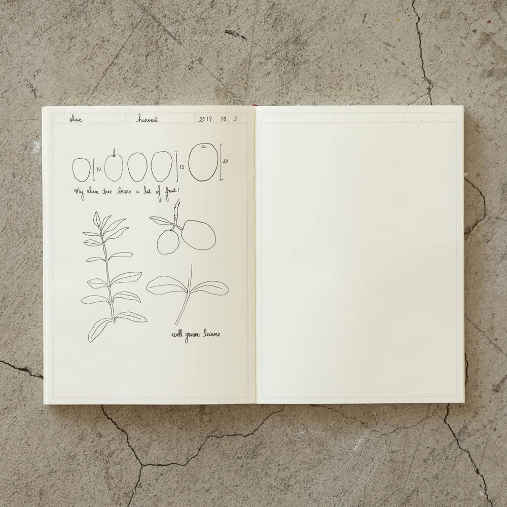 Midori MD Note Journal - Frame - A5 - MIDORI 15309006 - IRO