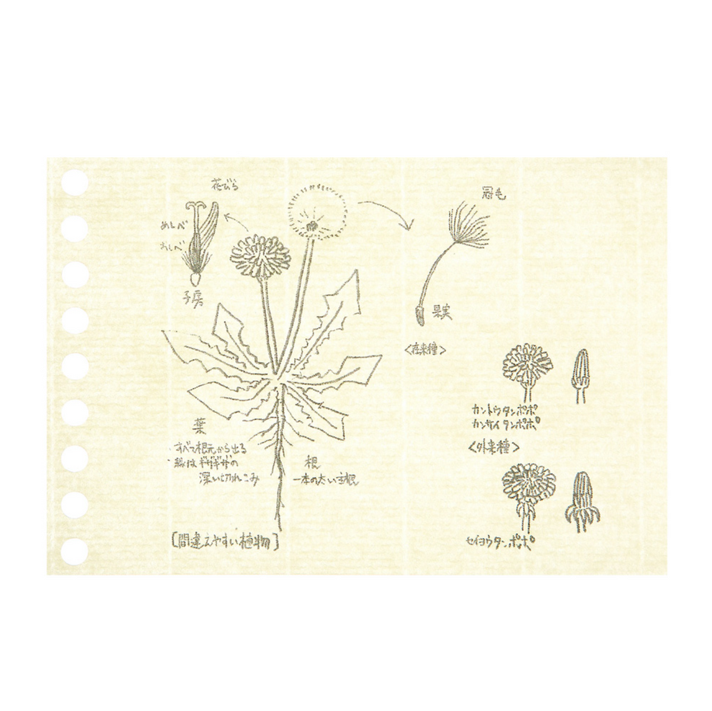 Maruman Easy to Write Mini Loose Leaf Paper - B7 - 60 Sheets - Cream Blank CROQUIS paper - MARUMAN L1437 - IRO